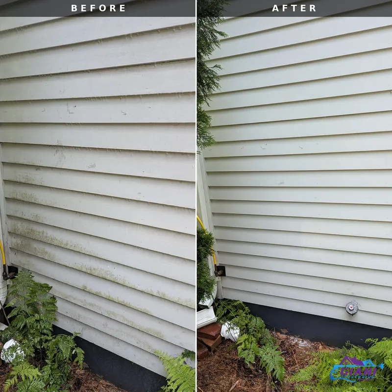 Before and after house washing in Portsmouth, NH