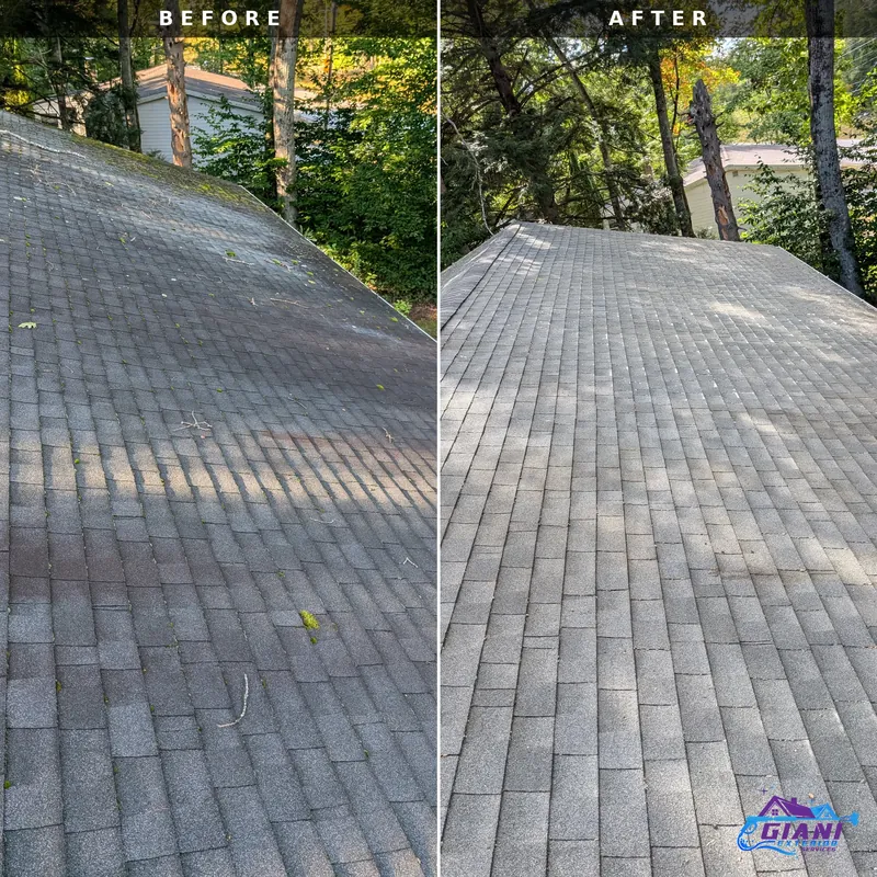 Before and after roof washing in Barnstead, NH