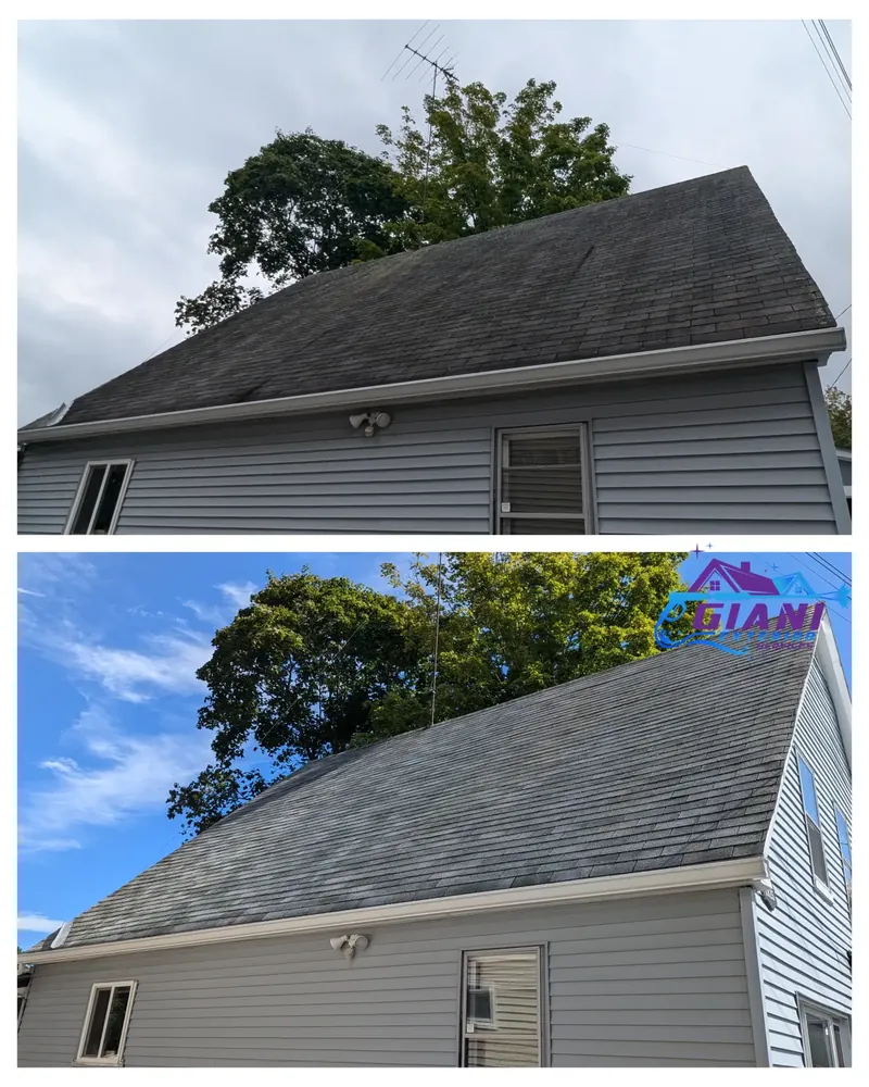 Before and after roof washing in Exeter, NH